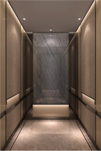 Passenger Hotel Lift