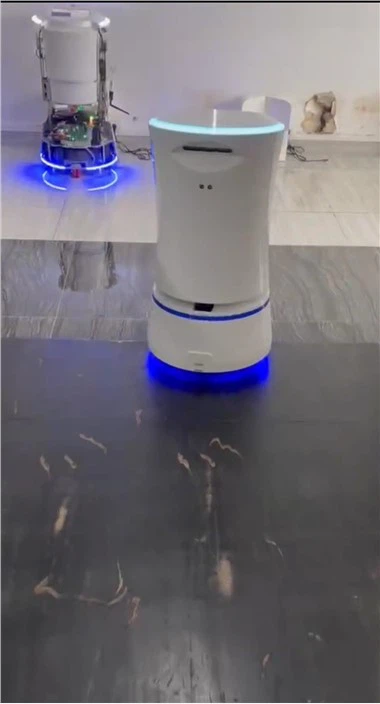 Szállítási áruk Intelligens ROBOT